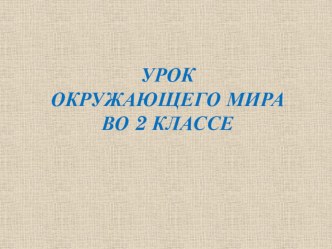 Презентация к уроку Мир искусства 2 класс презентация к уроку по окружающему миру (2 класс)