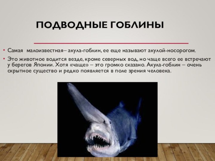 ПОДВОДНЫЕ ГОБЛИНЫСамая малоизвестная– акула-гоблин, ее еще называют акулой-носорогом.Это животное водится везде, кроме