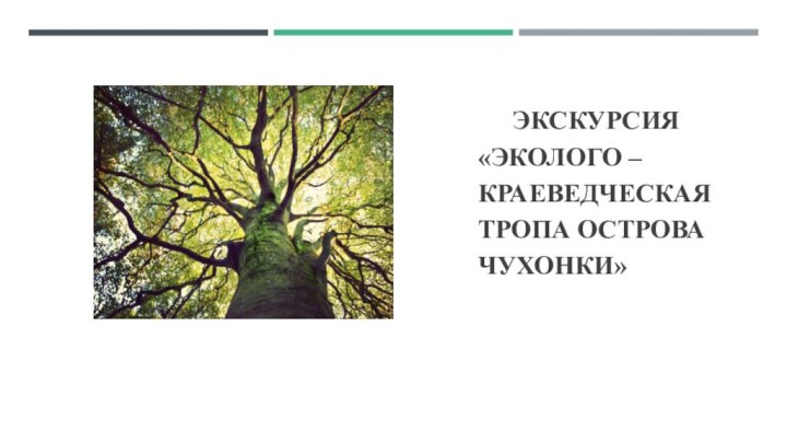 ЭКСКУРСИЯ «Эколого – краеведческая  тропа острова Чухонки»