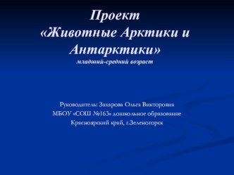 Проект Животные Арктики и Антарктики презентация к уроку по окружающему миру (средняя группа)