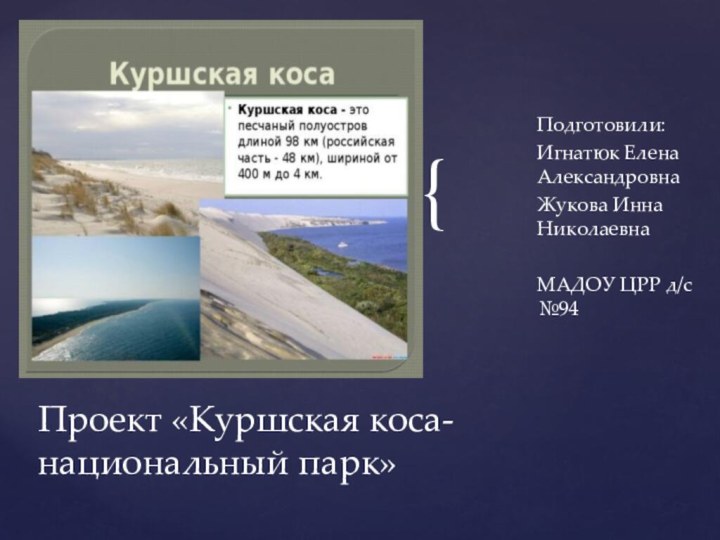 Подготовили: Игнатюк Елена АлександровнаЖукова Инна НиколаевнаМАДОУ ЦРР д/с №94Проект «Куршская коса-национальный парк»