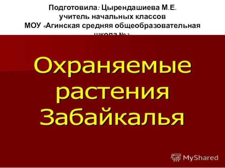 Подготовила: Цырендашиева М.Е. учитель начальных классов  МОУ «Агинская средняя общеобразовательная школа №2»