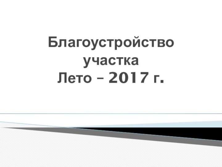 Благоустройство участка Лето – 2017 г.