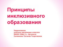 Принципы инклюзивного образования презентация к уроку