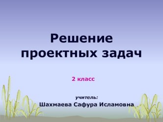 Кто строит дома на воде? материал по математике (2 класс)