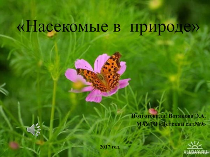 «Насекомые в природе»Подготовила: Вотякова Э.А.МАУДО «Детский сад№9» 2017 год.