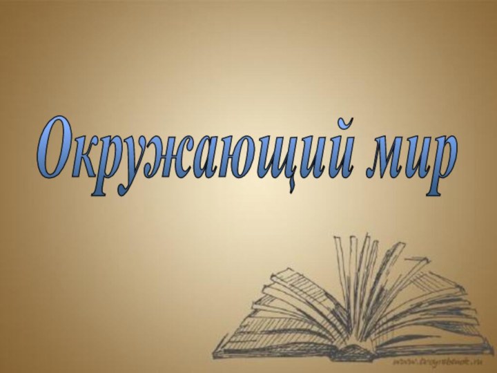 Окружающий мир