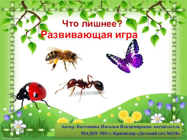 Автор: Колчанова Наталья Владимировна–воспитатель МАДОУ МО г. Краснодар «Детский сад №216»Развивающая играЧто лишнее?