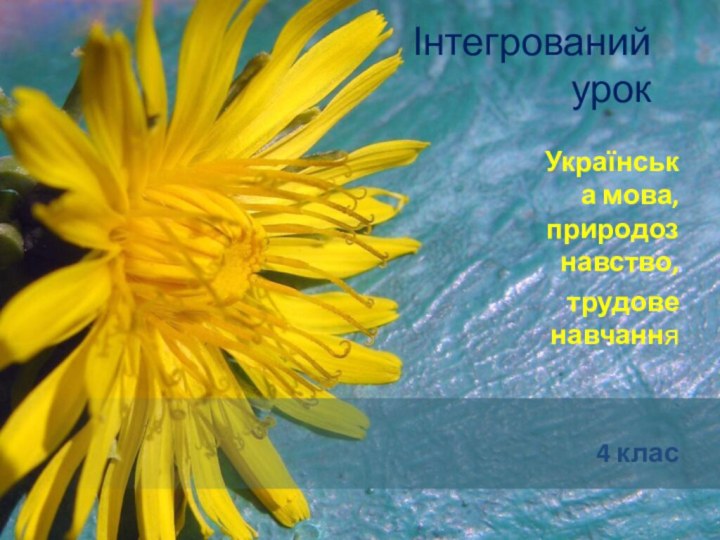 Інтегрований урокУкраїнська мова, природознавство, трудове навчання4 клас