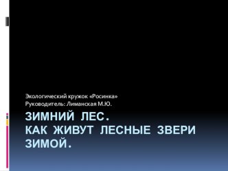 Презентация Зимний лес. Как живут лесные звери зимой. презентация к уроку по окружающему миру (средняя группа)