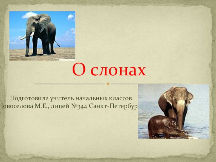 Подготовила учитель начальных классов Новоселова М.Е., лицей №344 Санкт-ПетербургаО слонах