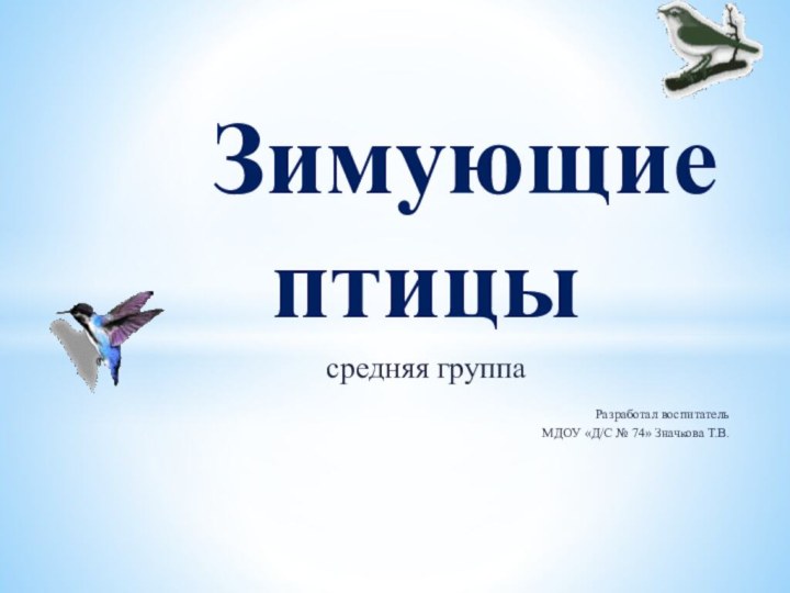 Зимующие  птицысредняя группаРазработал воспитатель МДОУ «Д/С № 74» Значкова Т.В.