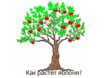 Как растет яблоня презентация к уроку по окружающему миру (средняя группа)