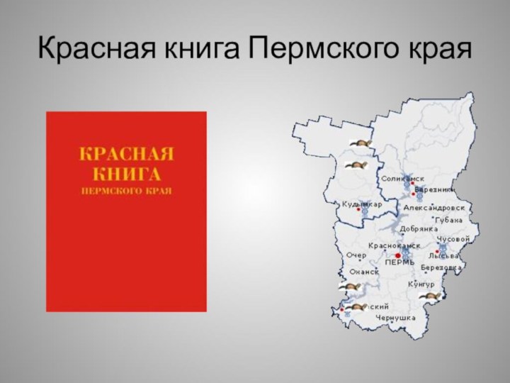 Красная книга Пермского края