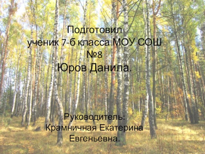 Подготовил ученик 7-б класса МОУ СОШ №8Юров Данила.Руководитель:Крамничная Екатерина Евгеньевна.