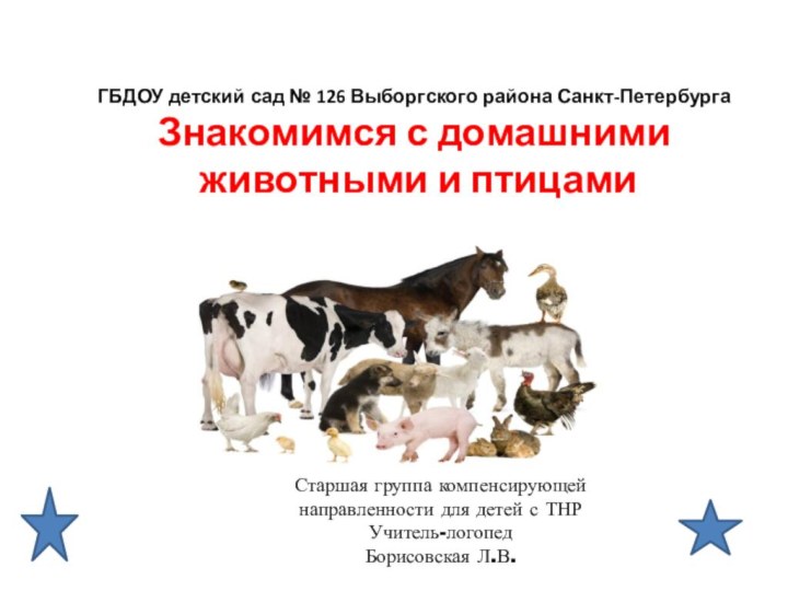 ГБДОУ детский сад № 126 Выборгского района Санкт-Петербурга Знакомимся с домашними