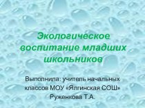 Особенности экологического воспитания младших школьников (из опыта работы) презентация к уроку (4 класс) по теме