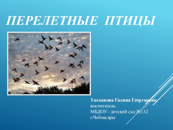 Толокнова Галина Георгиевна,воспитатель МБДОУ– детский сад №132г.ЧебоксарыПЕРЕЛЕТНЫЕ ПТИЦЫ