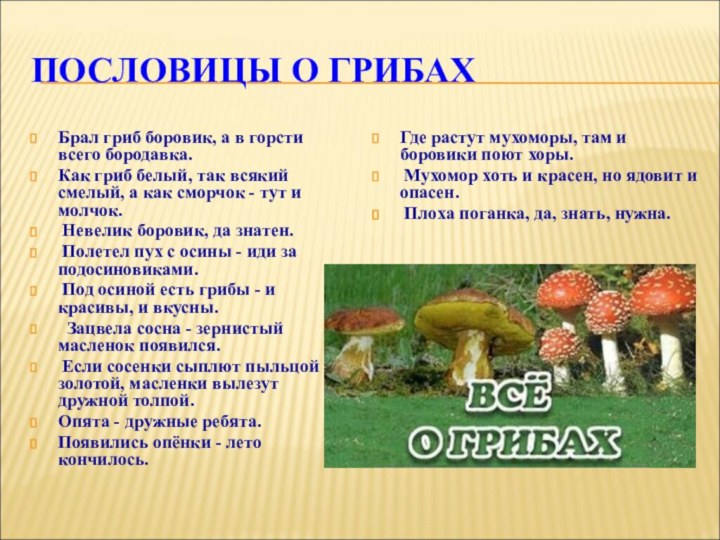 ПОСЛОВИЦЫ О ГРИБАХБрал гриб боровик, а в горсти всего бородавка. Как гриб