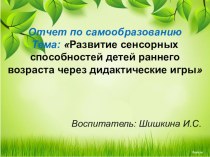 Отчет по самообразованию Тема: Развитие сенсорных способностей детей раннего возраста через дидактические игры презентация к уроку (младшая группа)