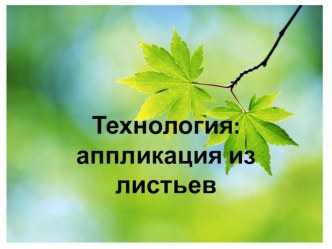 технология: аппликация из листьев презентация к уроку по технологии по теме