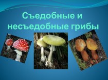 Презентация по теме :  Съедобные и несъедобные грибы . презентация к уроку по окружающему миру (подготовительная группа)