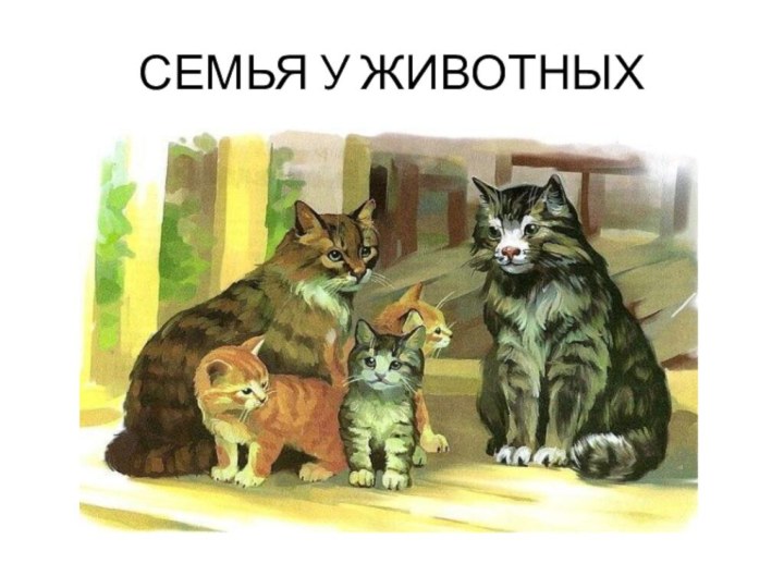 СЕМЬЯ У ЖИВОТНЫХ