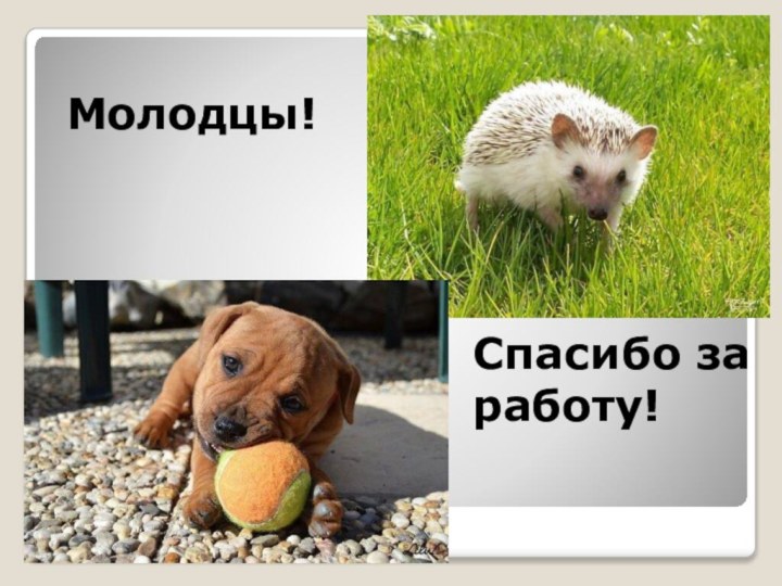 Молодцы! Спасибо за работу!