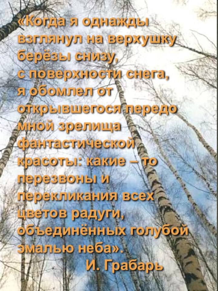 «Когда я однажды взглянул на верхушку берёзы снизу,