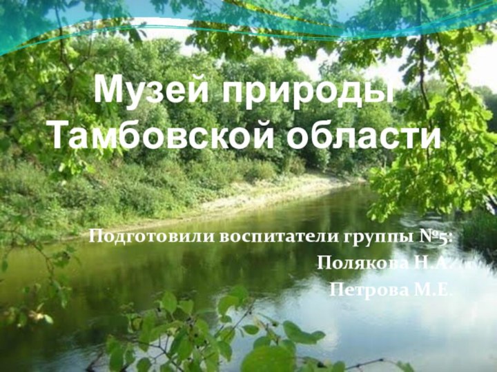 Музей природы Тамбовской областиПодготовили воспитатели группы №5: Полякова Н.А.Петрова М.Е.