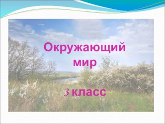 Почва. Ее состав и свойства. презентация к уроку по окружающему миру (3 класс)