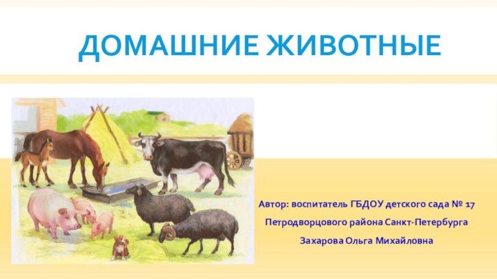 Домашние животныеАвтор: воспитатель ГБДОУ детского сада № 17 Петродворцового района Санкт-ПетербургаЗахарова Ольга Михайловна