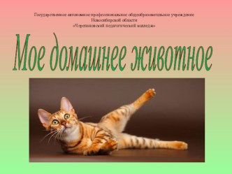 презентация презентация к уроку