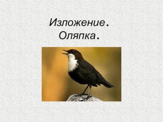 Изложение Оляпка(2 кл.) методическая разработка по русскому языку (2 класс) по теме