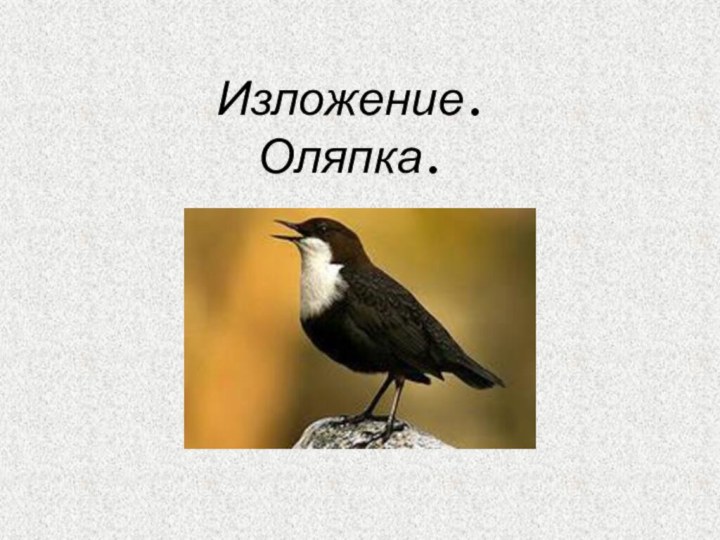 Изложение.Оляпка.