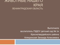 Животные нашего края. Ленинградская область. презентация к уроку по окружающему миру (средняя группа)