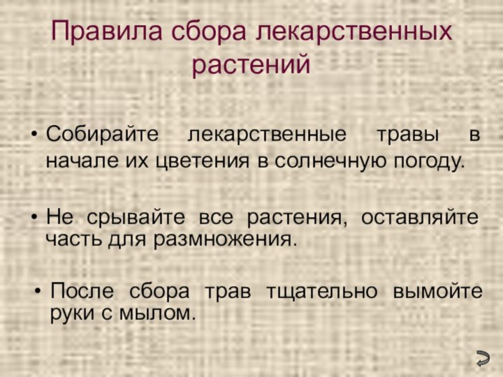 Правила сбора лекарственных растенийСобирайте лекарственные травы в начале их цветения в солнечную