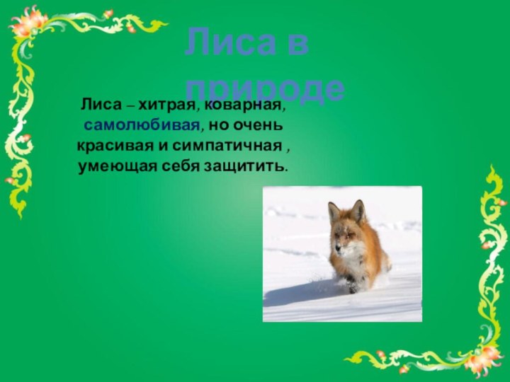 Лиса в природеЛиса – хитрая, коварная,самолюбивая, но очень красивая и симпатичная , умеющая себя защитить.