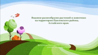 Видовое разнообразие растений и животных на территории Павловского района, Алтайского края презентация к уроку по окружающему миру