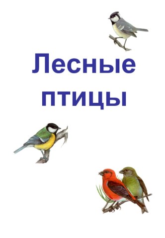 Презентация Лесные птицы презентация по окружающему миру