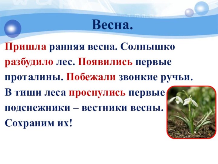 Проталины проверочное слово. Весеннее солнце разбудило муравьев.