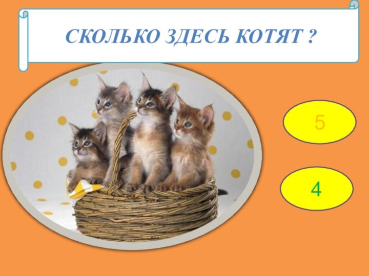 54Сколько здесь котят ?