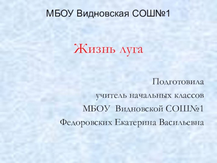 МБОУ Видновская СОШ№1Жизнь лугаПодготовилаучитель начальных классовМБОУ Видновской СОШ№1Федоровских Екатерина Васильевна