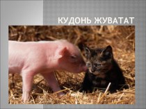 Презентация Кудонь жувататне презентация к уроку (1 класс)