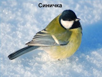 план-конспект план-конспект урока по чтению (2 класс)