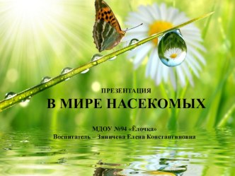 Конспект занятия в старшей группе В мире насекомых план-конспект занятия по окружающему миру (старшая группа) по теме