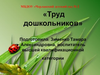 Презентация Труд старших дошкольников презентация