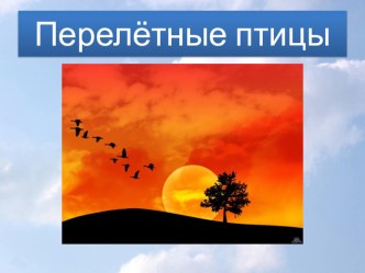 Презентация Перелётные птицы презентация к уроку по окружающему миру (подготовительная группа)