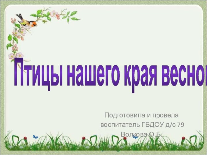 Птицы нашего края веснойПодготовила и провела воспитатель ГБДОУ д/с 79Волкова О.Б.