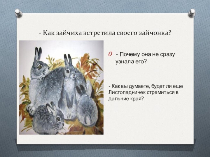 - Как зайчиха встретила своего зайчонка?- Почему она не сразу узнала его?-